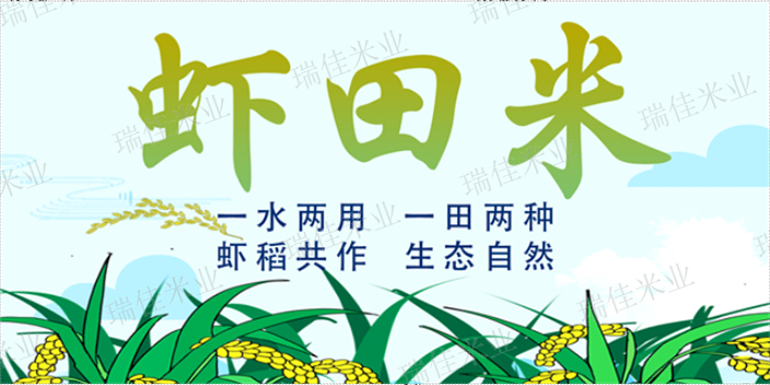 南京东北大米售价,大米
